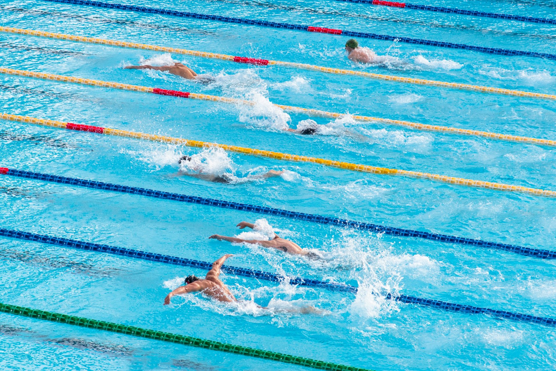 Your Guide to the Best Swim School Solutions. Your Guide to the Best Swim School Solutions.